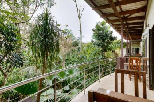 Forest Lodge St Lucia Luaran gambar