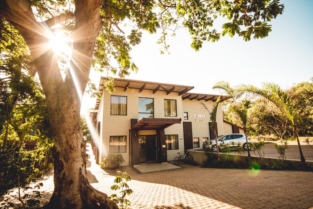 Forest Lodge St Lucia Luaran gambar