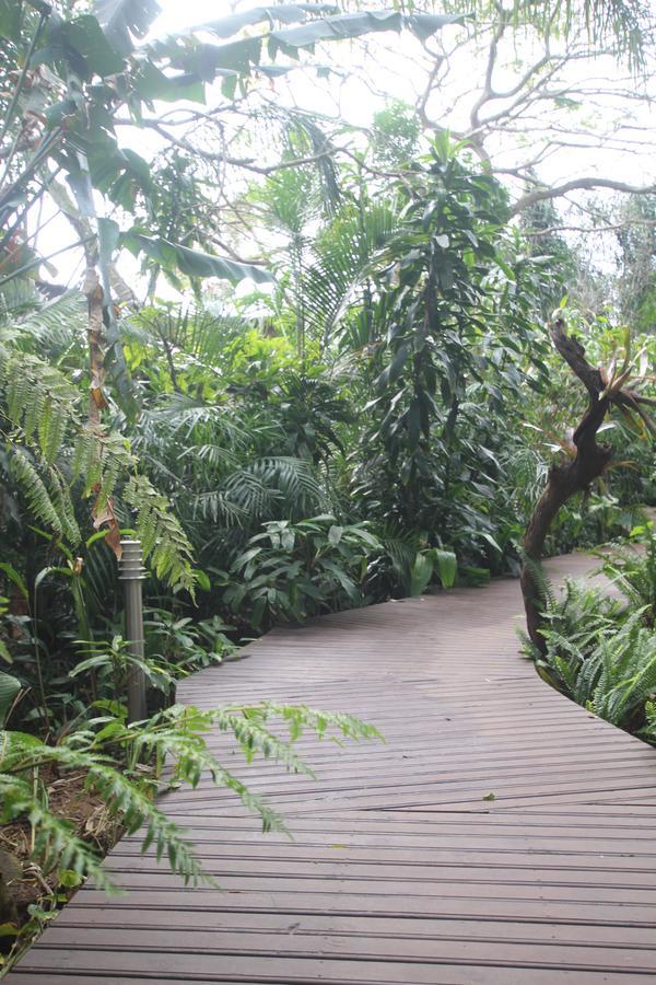 Forest Lodge St Lucia Luaran gambar