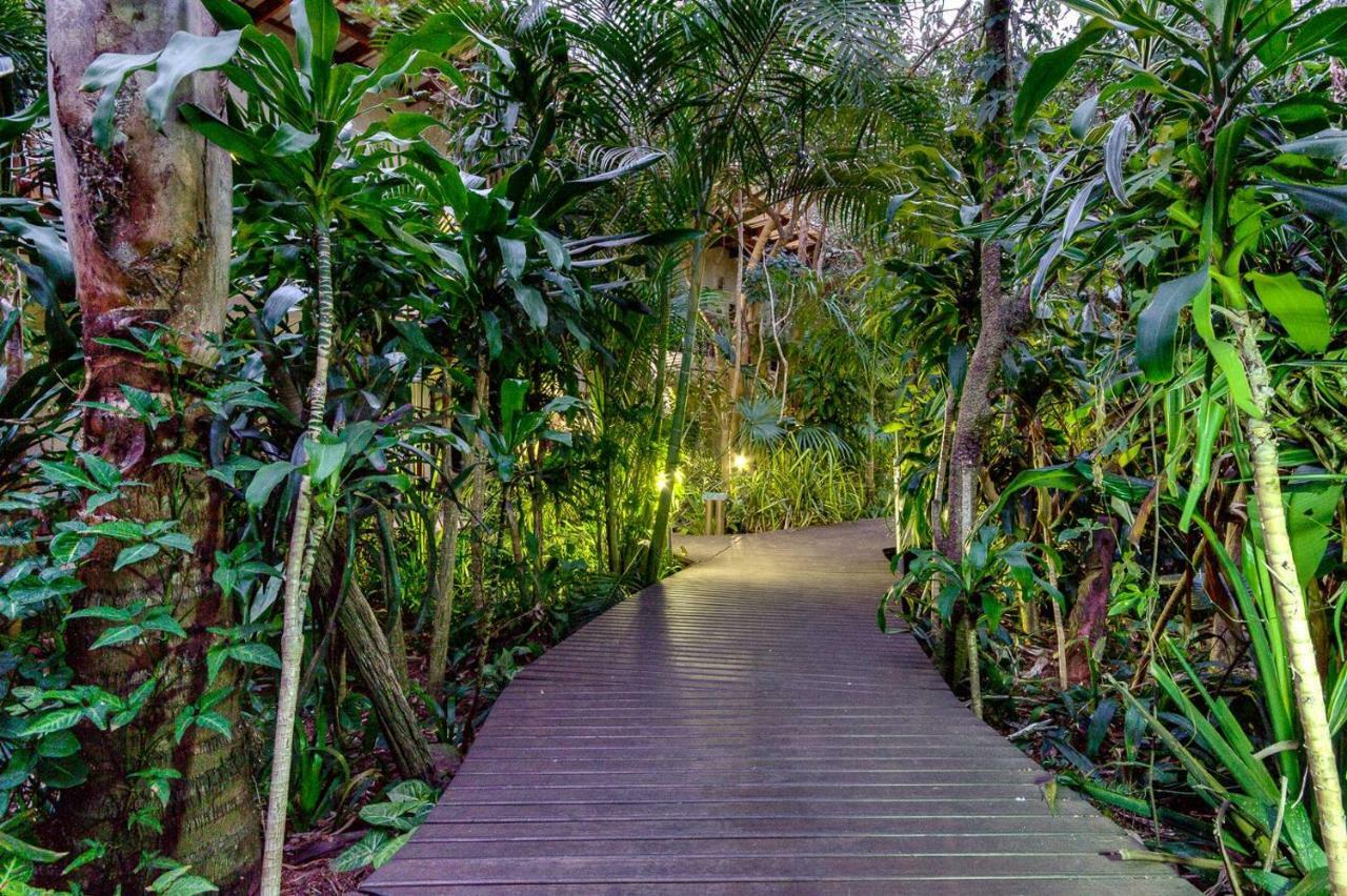 Forest Lodge St Lucia Luaran gambar