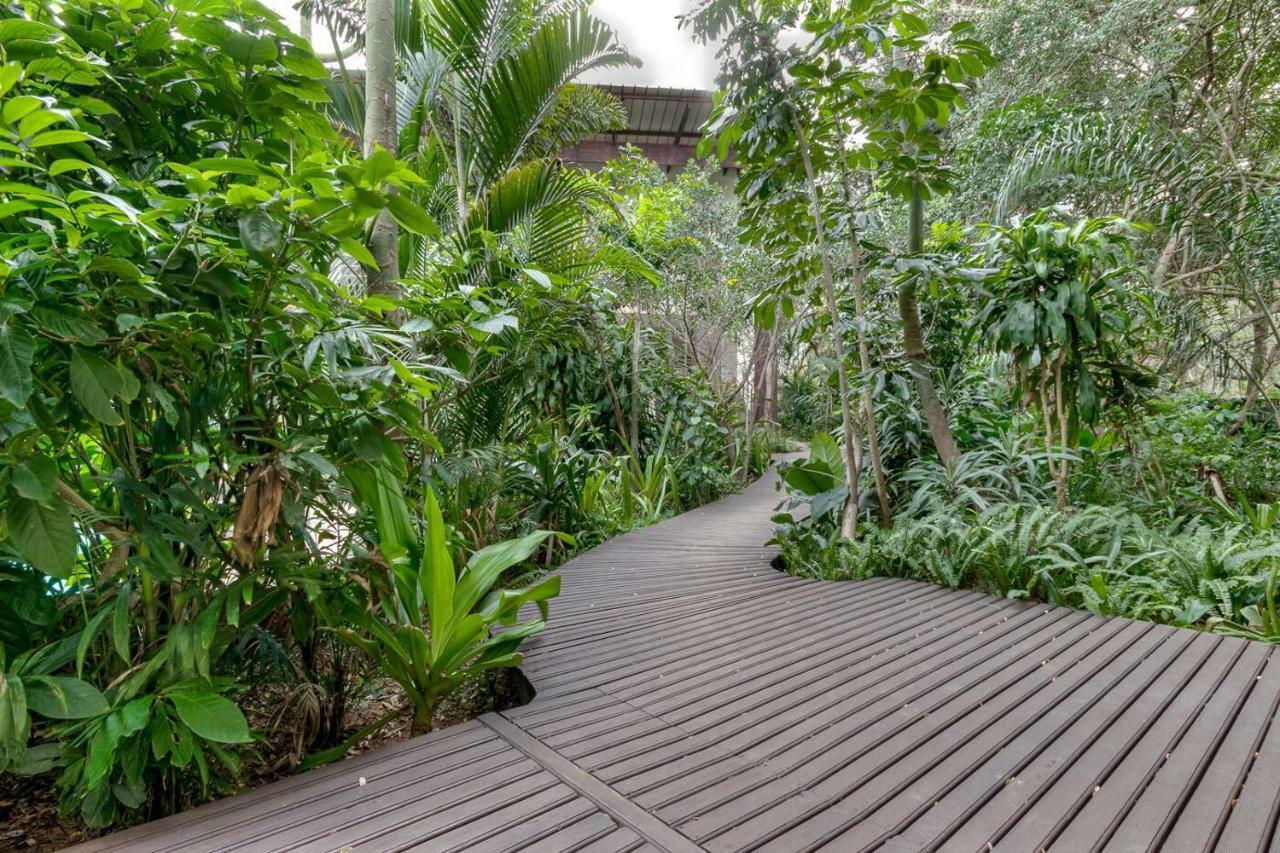 Forest Lodge St Lucia Luaran gambar